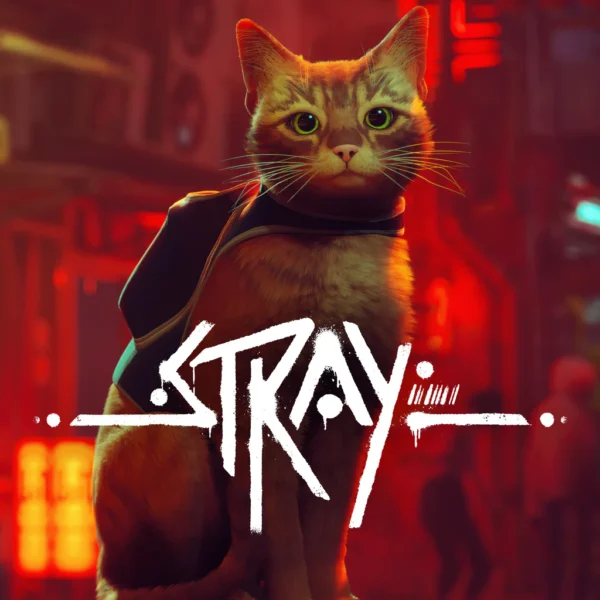 اکانت قانونیStray