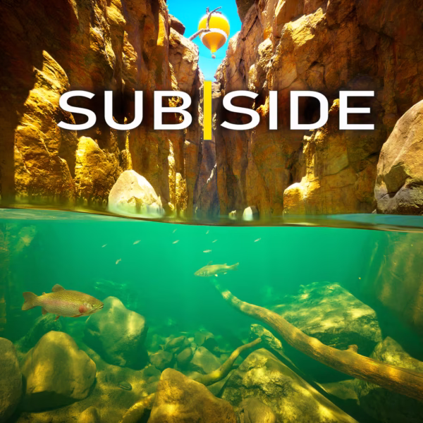 اکانت قانونیSubside